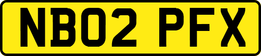 NB02PFX