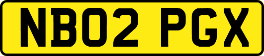 NB02PGX