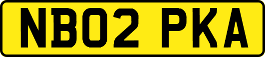 NB02PKA