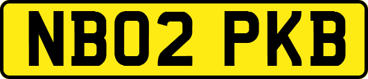 NB02PKB
