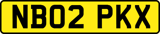 NB02PKX