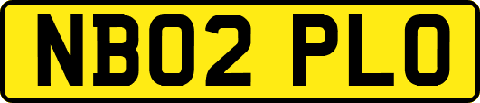 NB02PLO