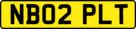 NB02PLT