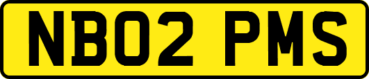 NB02PMS