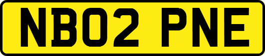 NB02PNE