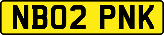 NB02PNK