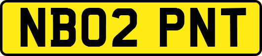 NB02PNT