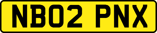 NB02PNX