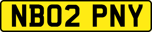 NB02PNY
