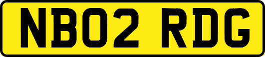 NB02RDG