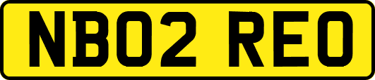 NB02REO