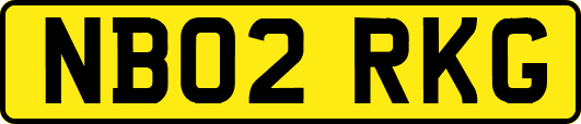 NB02RKG