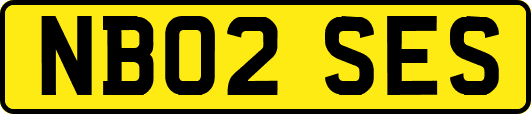NB02SES