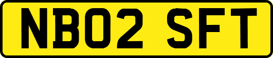NB02SFT