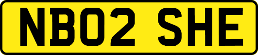 NB02SHE