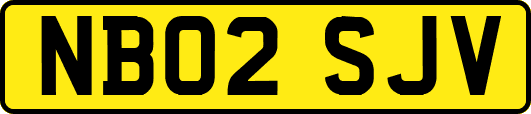 NB02SJV