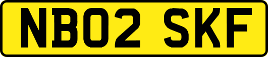 NB02SKF