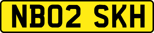 NB02SKH