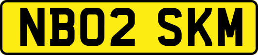 NB02SKM