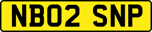 NB02SNP