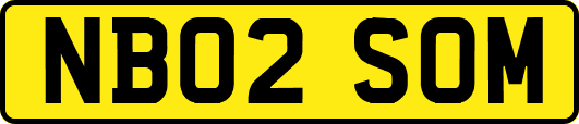 NB02SOM