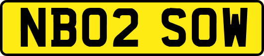 NB02SOW
