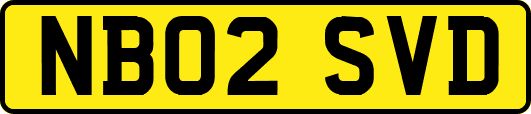 NB02SVD