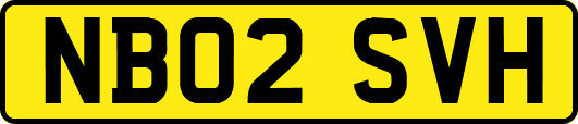 NB02SVH