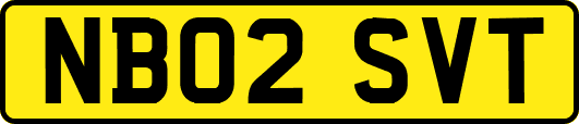 NB02SVT