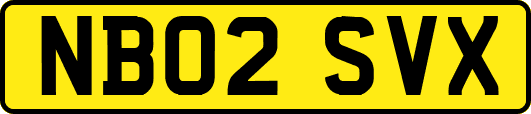 NB02SVX