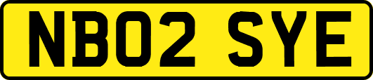 NB02SYE