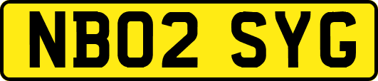 NB02SYG