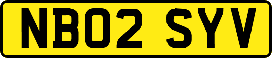 NB02SYV