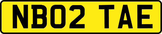 NB02TAE