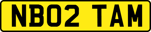 NB02TAM