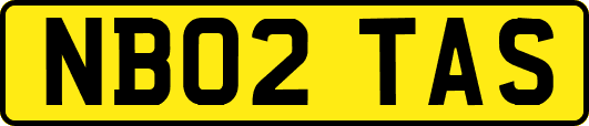 NB02TAS