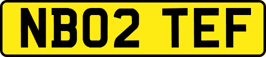 NB02TEF