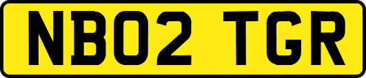 NB02TGR