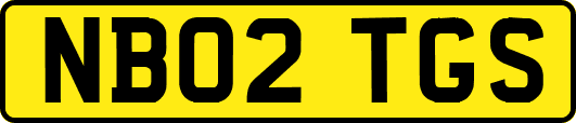 NB02TGS