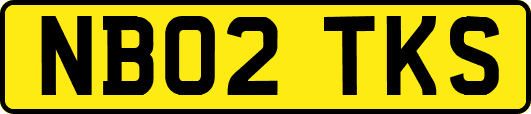 NB02TKS