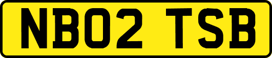 NB02TSB