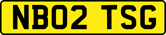 NB02TSG