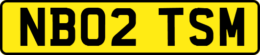 NB02TSM