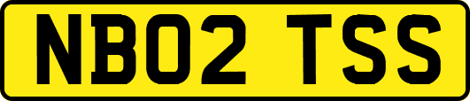 NB02TSS
