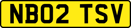 NB02TSV