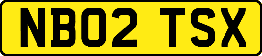 NB02TSX