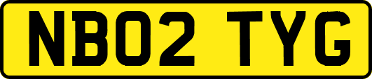 NB02TYG