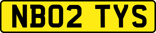 NB02TYS