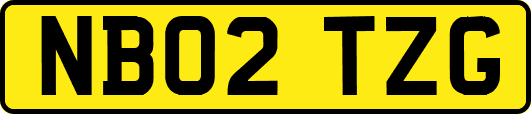 NB02TZG