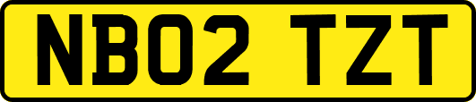 NB02TZT